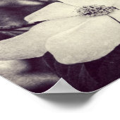 Dogwood Flower Poster (Hoek)