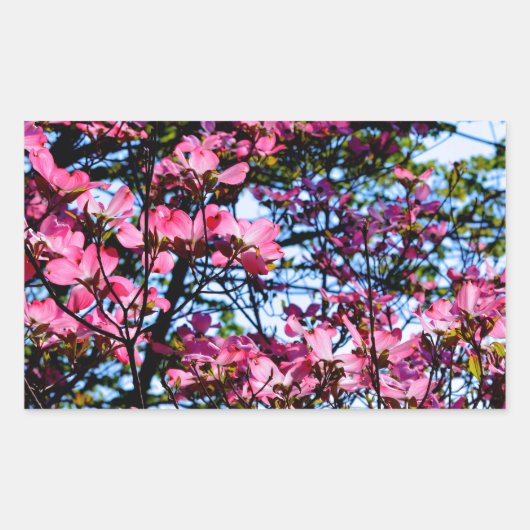 Dogwood Flowering roze Rechthoekige Sticker (Voorkant)