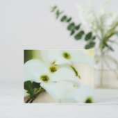 Dogwood Flowers Briefkaart (Staand voorkant)