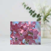 Dogwood Flowers Briefkaart (Staand voorkant)