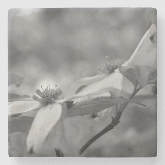 Dogwood Flowers in zwart-wit Stenen Onderzetter (Voorkant)