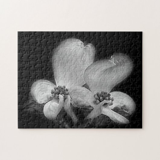 Dogwood Flowers in zwarte en witte Natuur Legpuzzel (Horizontaal)