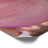 DOGWOOD Flowers Natuur Art Prints Posters (Hoek)