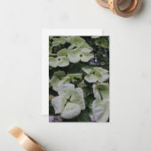 Dogwood Flowers Notitiekaartje (Voorkant / Achterkant in situ)