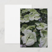 Dogwood Flowers Notitiekaartje (Voorkant / Achterkant)