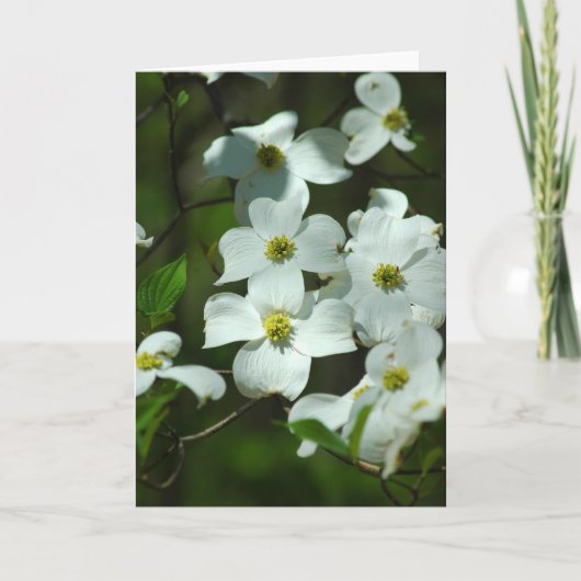 Dogwood Flowers Wenskaart Kaart (Voorkant)