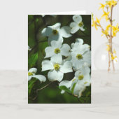 Dogwood Flowers Wenskaart Kaart (Gele Bloem)