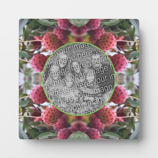 Dogwood Fruit Natuur Creëer Uw eigen foto Fotoplaat (Voorkant)