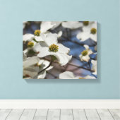 Dogwood in Bloom Canvas Afdruk (Insitu (Houten vloer))