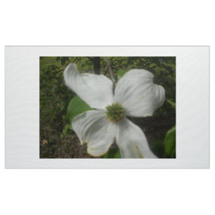 Dogwood in Spring Stof