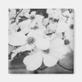 Dogwood Magneet (Voorkant)