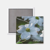 Dogwood Magnet (Voorkant / Achterkant)