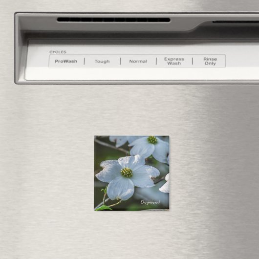 Dogwood Magnet (Insitu (Vaatwasser))