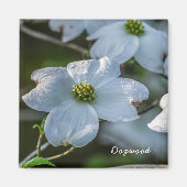 Dogwood Magnet (Voorkant)