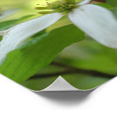 Dogwood met God Bijbelcitaat Inspirerend Poster (Hoek)