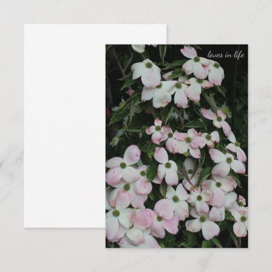 Dogwood Notitiekaartje (Voorkant / Achterkant)