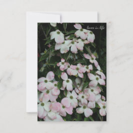 Dogwood Notitiekaartje