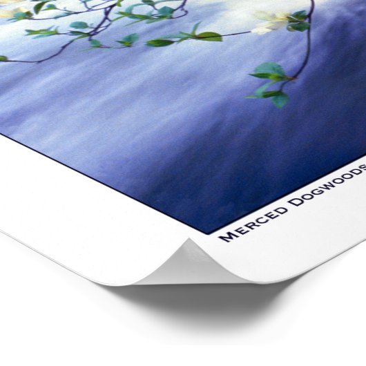 Dogwood over Merced, de Yosemite Poster (Hoek)