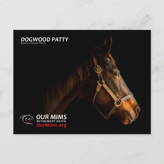 Dogwood Patty briefkaart (Voorkant)