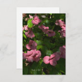 Dogwood Pink Notitiekaartje (Voorkant / Achterkant)