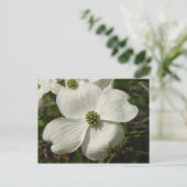 Dogwood Post Card Briefkaart (Staand voorkant)