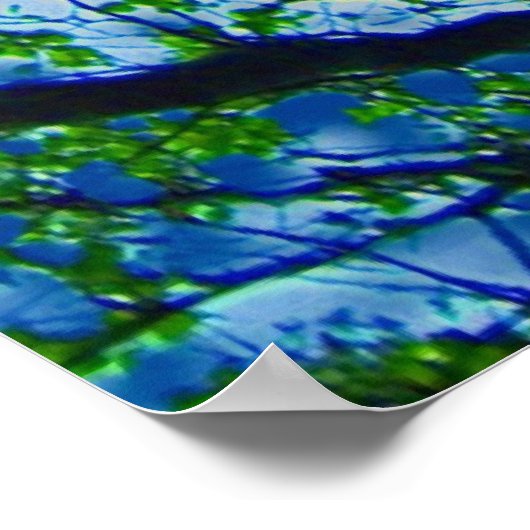 Dogwood Renditie III Poster (Hoek)