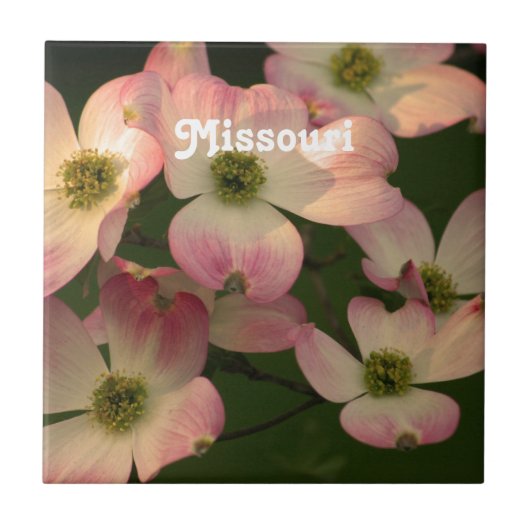 Dogwood Tegeltje (Voorkant)