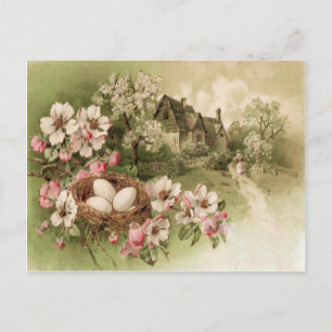 Dogwood Tree Bird Nest Egg Cottage Briefkaart