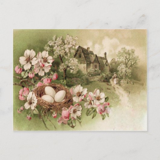 Dogwood Tree Bird Nest Egg Cottage Briefkaart (Voorkant)