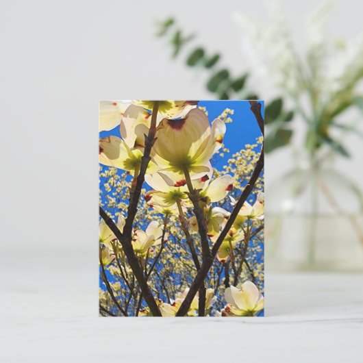 Dogwood Tree Briefkaart (Staand voorkant)