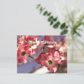 Dogwood Tree Briefkaart (Staand voorkant)