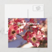 Dogwood Tree Briefkaart (Voorkant / Achterkant)