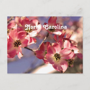 Dogwood Tree Briefkaart