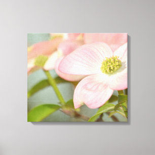 Dogwood Tree Canvas Afdruk