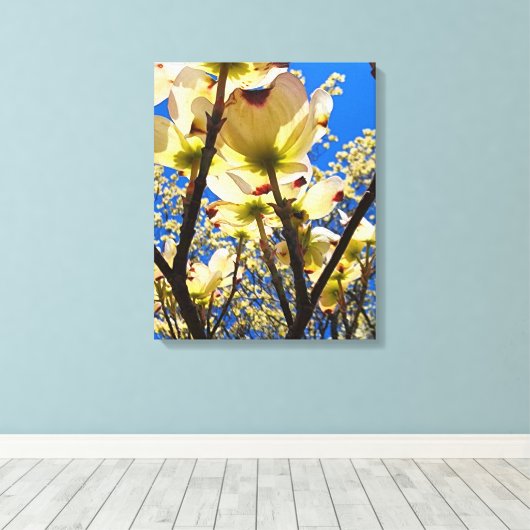 Dogwood Tree Canvas Afdruk (Insitu (Houten vloer))