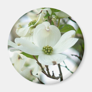 Dogwood Tree Flower Magnet