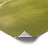 Dogwood Tree Flowers art print Yellow Dogwood (Hoek)