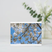 Dogwood Tree Flowers, Ohio Briefkaart (Staand voorkant)