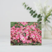 Dogwood Tree in Bloom Briefkaart (Staand voorkant)