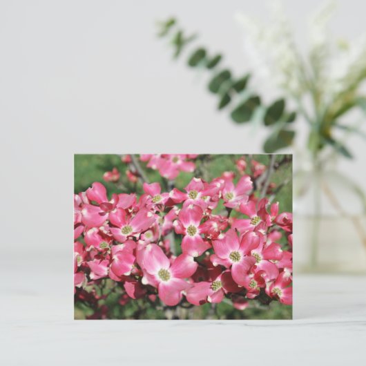 Dogwood Tree in Bloom Briefkaart (Staand voorkant)