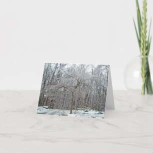 Dogwood Tree in Winter Ice Note Kaart