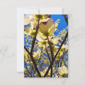 Dogwood Tree Kaart (Voorkant)
