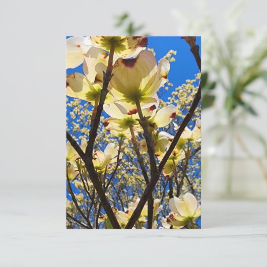 Dogwood Tree Kaart (Staand voorkant)