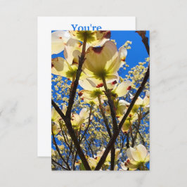 Dogwood Tree Kaart