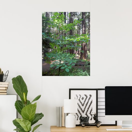 Dogwood Tree Poster (Thuiskantoor)