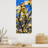 Dogwood Tree Poster (Keuken)