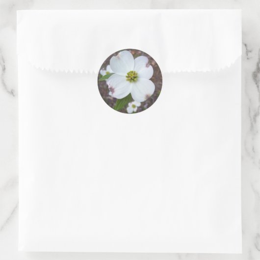Dogwood Tree Ronde Sticker (Tas)