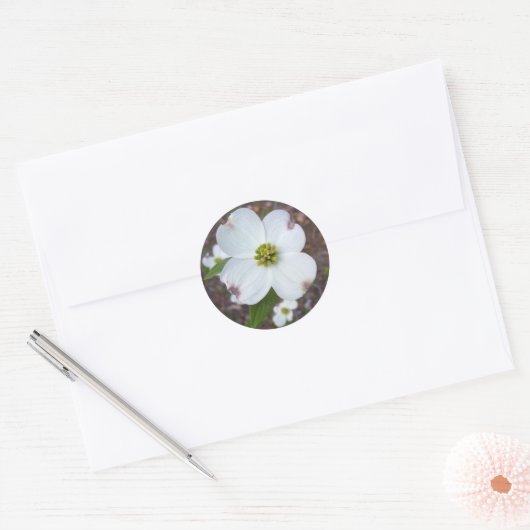 Dogwood Tree Ronde Sticker (Envelop)