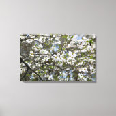 Dogwood Tree White Flower Blossom Canvas Afdruk (Voorkant)