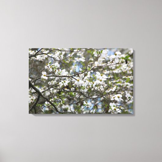 Dogwood Tree White Flower Blossom Canvas Afdruk (Voorkant)